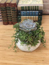 Load image into Gallery viewer, Small Globe Succulent Arrangement
