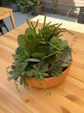 Load image into Gallery viewer, Medium Terra-cotta Flap Jack Succulent Arrangement
