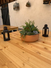 Load image into Gallery viewer, Medium Terra-cotta Flap Jack Succulent Arrangement
