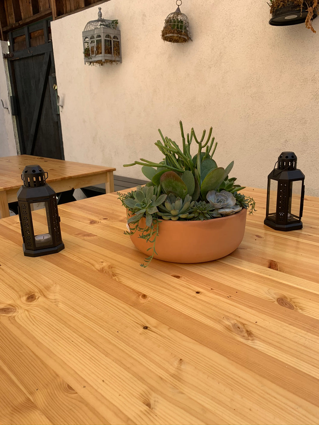 Medium Terra-cotta Flap Jack Succulent Arrangement