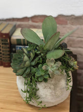 Load image into Gallery viewer, Small Globe Succulent Arrangement
