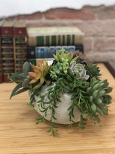 Load image into Gallery viewer, Small Globe Succulent Arrangement
