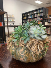 Load image into Gallery viewer, Pumpkin Succulent Arrangement
