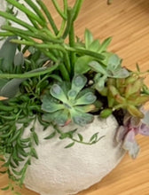 Load image into Gallery viewer, Small Globe Succulent Arrangement
