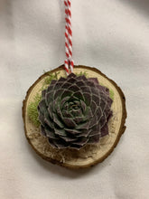 Load image into Gallery viewer, Mini Rosetta Succulent Wood Slice Ornament
