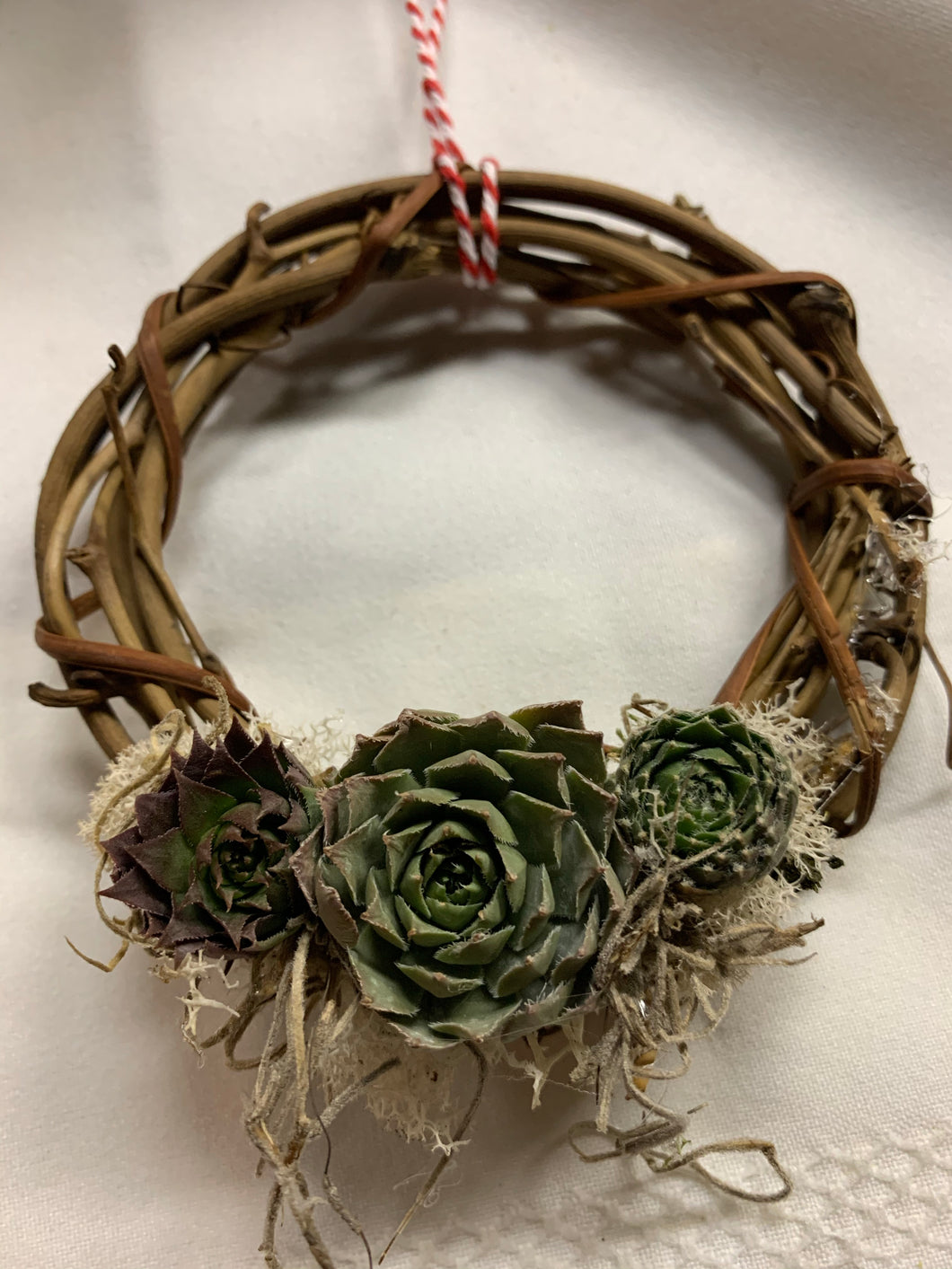 Mini Succulent Hanging Wreath Ornament