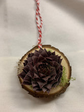 Load image into Gallery viewer, Mini Rosetta Succulent Wood Slice Ornament
